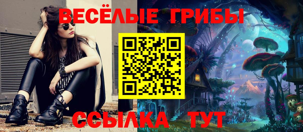 Галлюциногенные грибы Psilocybine cubensis Шебекино