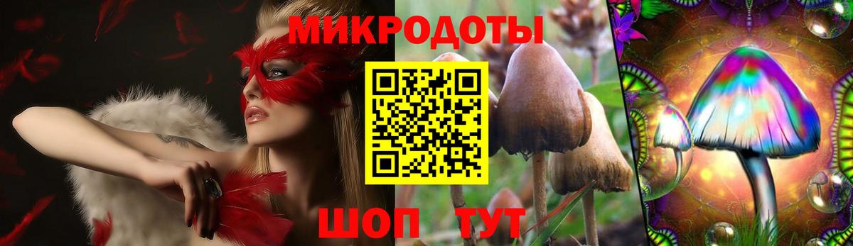 Шебекино  Галлюциногенные грибы Psilocybine cubensis  Вход с VPN 